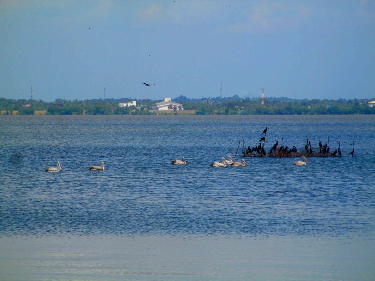 Nico Lagoon 3* Negombo