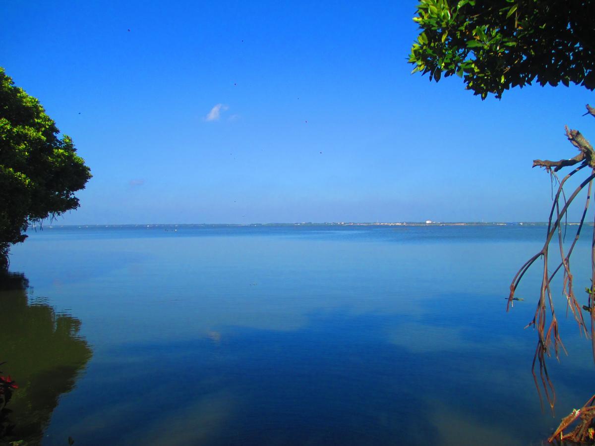 Nico Lagoon